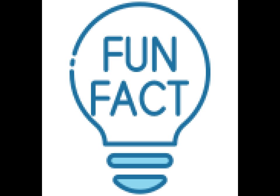 Fun Facts shown on an AWTRIX display