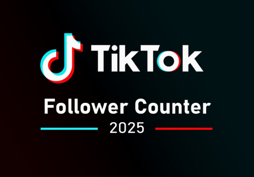 TikTok Follower Counter 2025 shown on an AWTRIX display